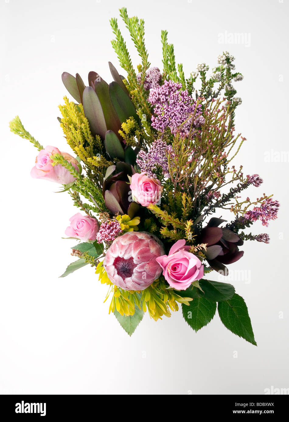Assortimento di fiori da sopra con sfondo bianco Foto Stock
