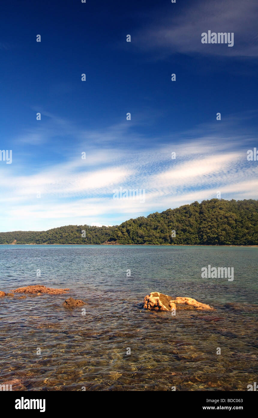 Barriera Corallina e la foresta pluviale del Parco Nazionale Daintree Great Barrier Reef Marine Park Queensland Australia Foto Stock