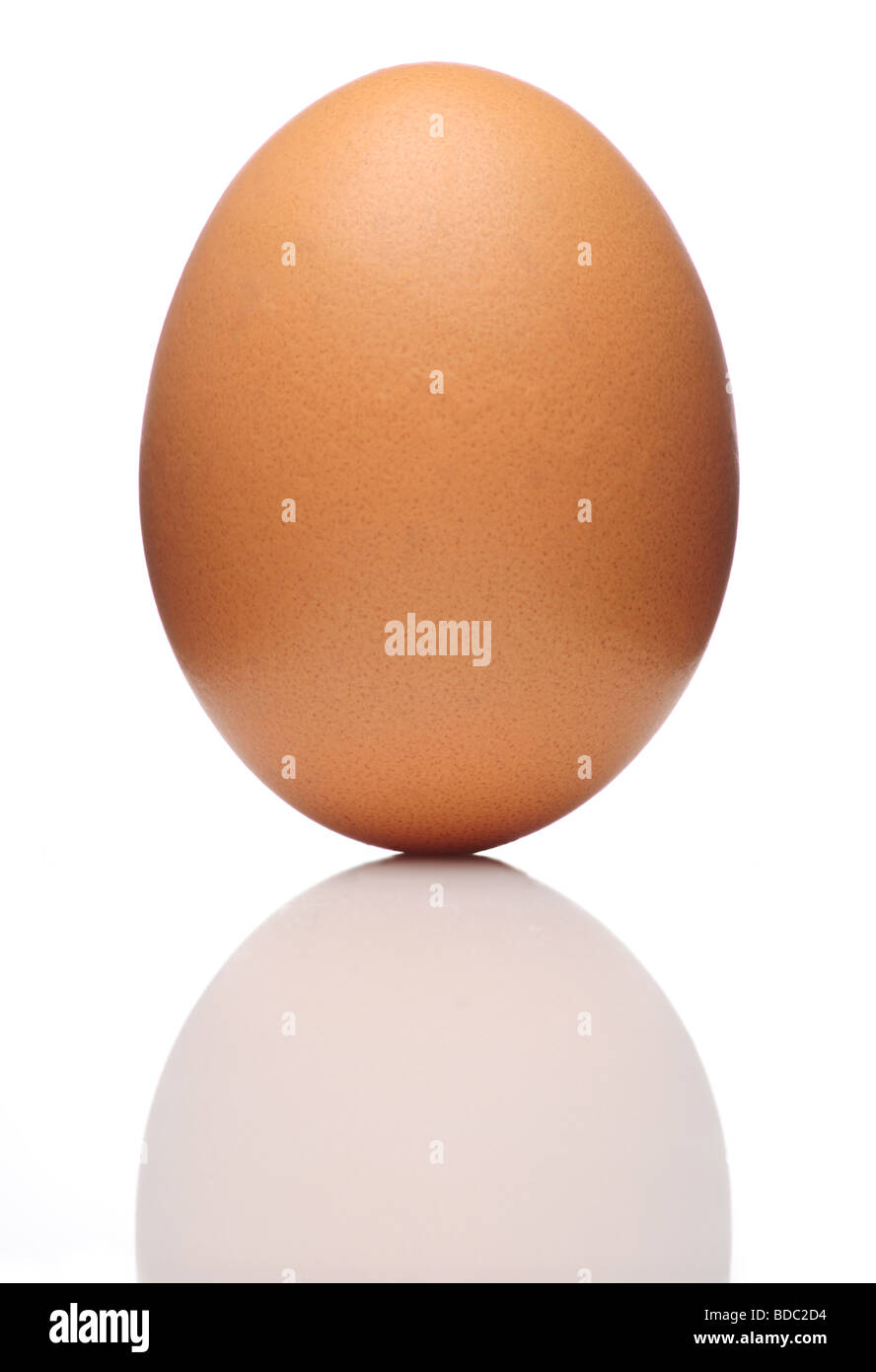 Marrone uovo di gallina bianca su sfondo riflettente Foto Stock