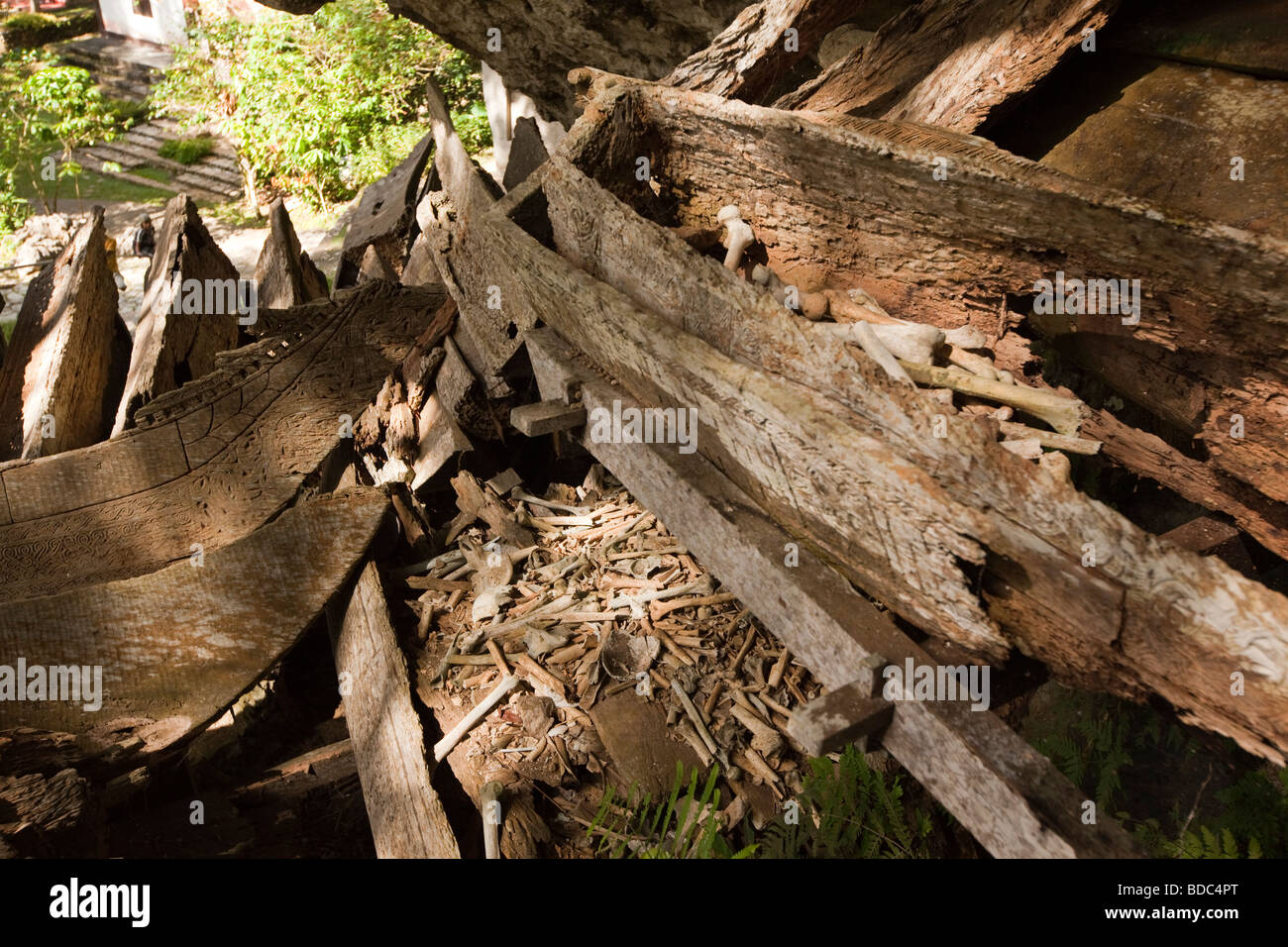 Indonesia Sulawesi Tana Toraja Kete Kesu village sepoltura delle ossa umane esposte in putrefazione bara Foto Stock