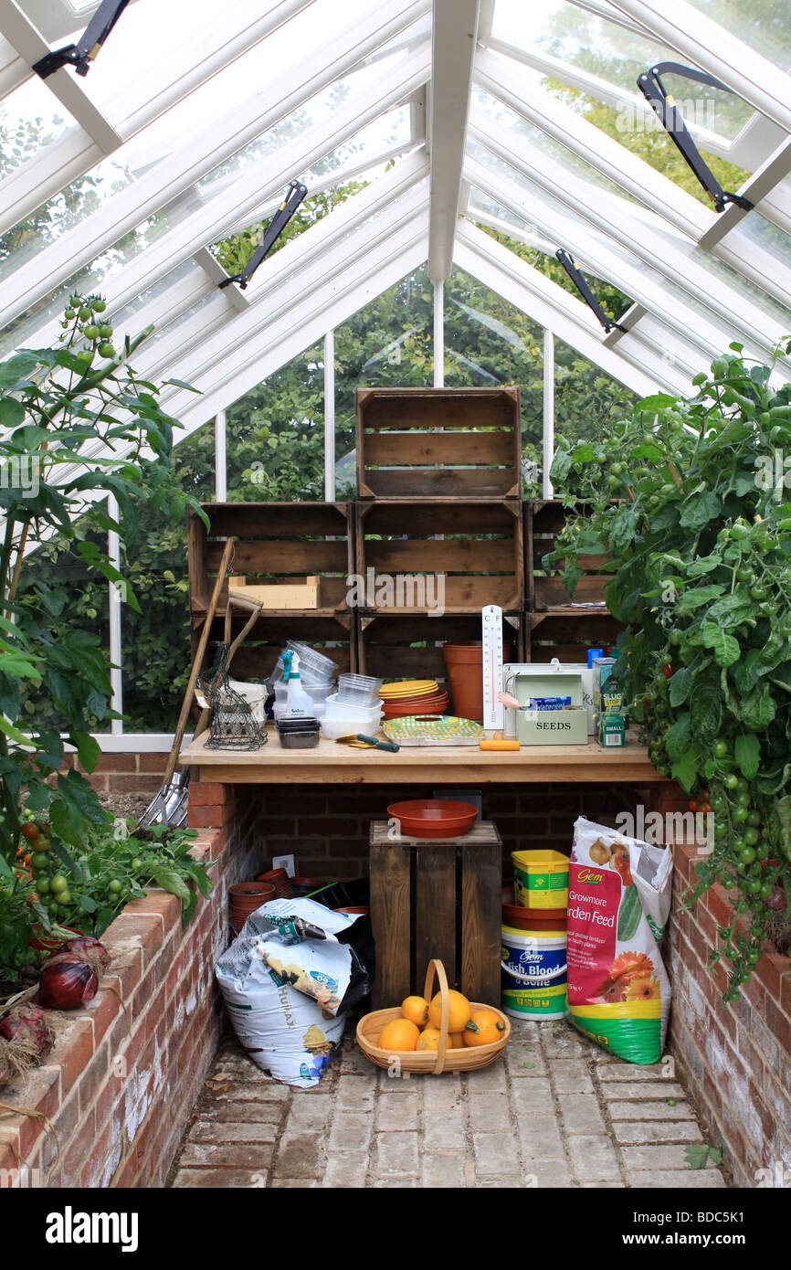 Green House che mostra le cipolle e i pomodori e generali home oggetti da giardinaggio Foto Stock