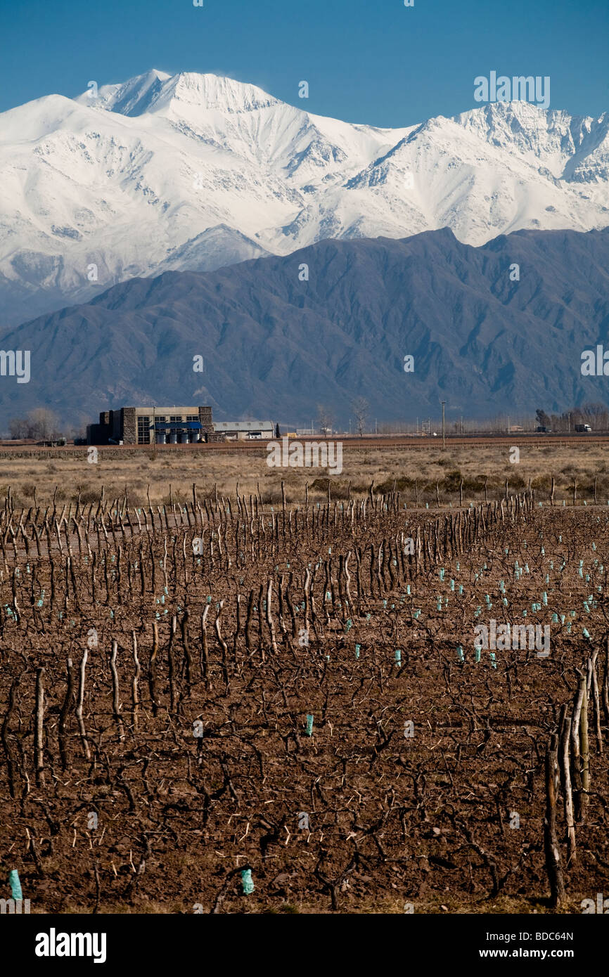 Vista di Bodega Septima winery di Lujan de Cuyo, Mendoza Argentina ai piedi delle Ande innevate montagne Foto Stock