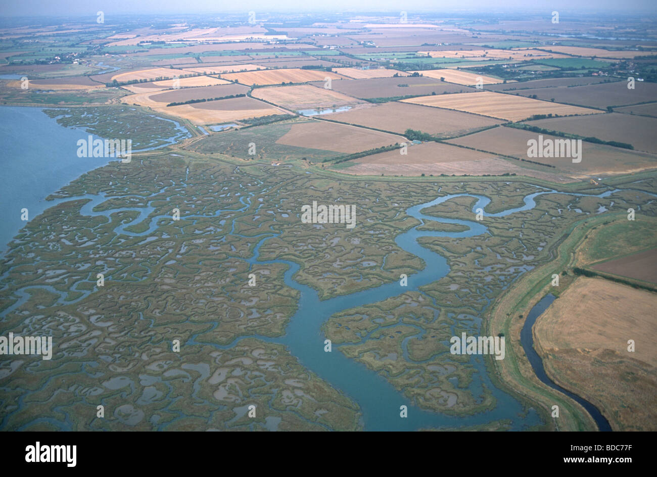 Abbotts Hall Farm e paludi Wildlife Trust Reserve dal canale Salcott in Essex vista aerea Foto Stock