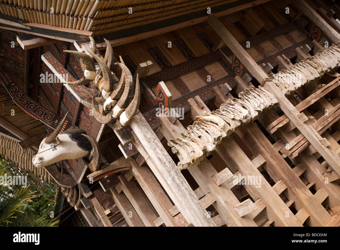 Indonesia Sulawesi Tana Toraja Kete Kesu villaggio tradizionale alto lo stato tongkonan casa con molte buffalo corna e ossa di ganascia Foto Stock