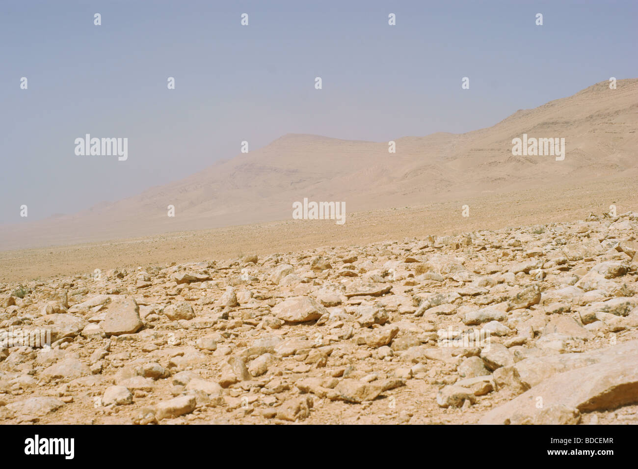 Deserto di pietra midle east Siria Foto Stock
