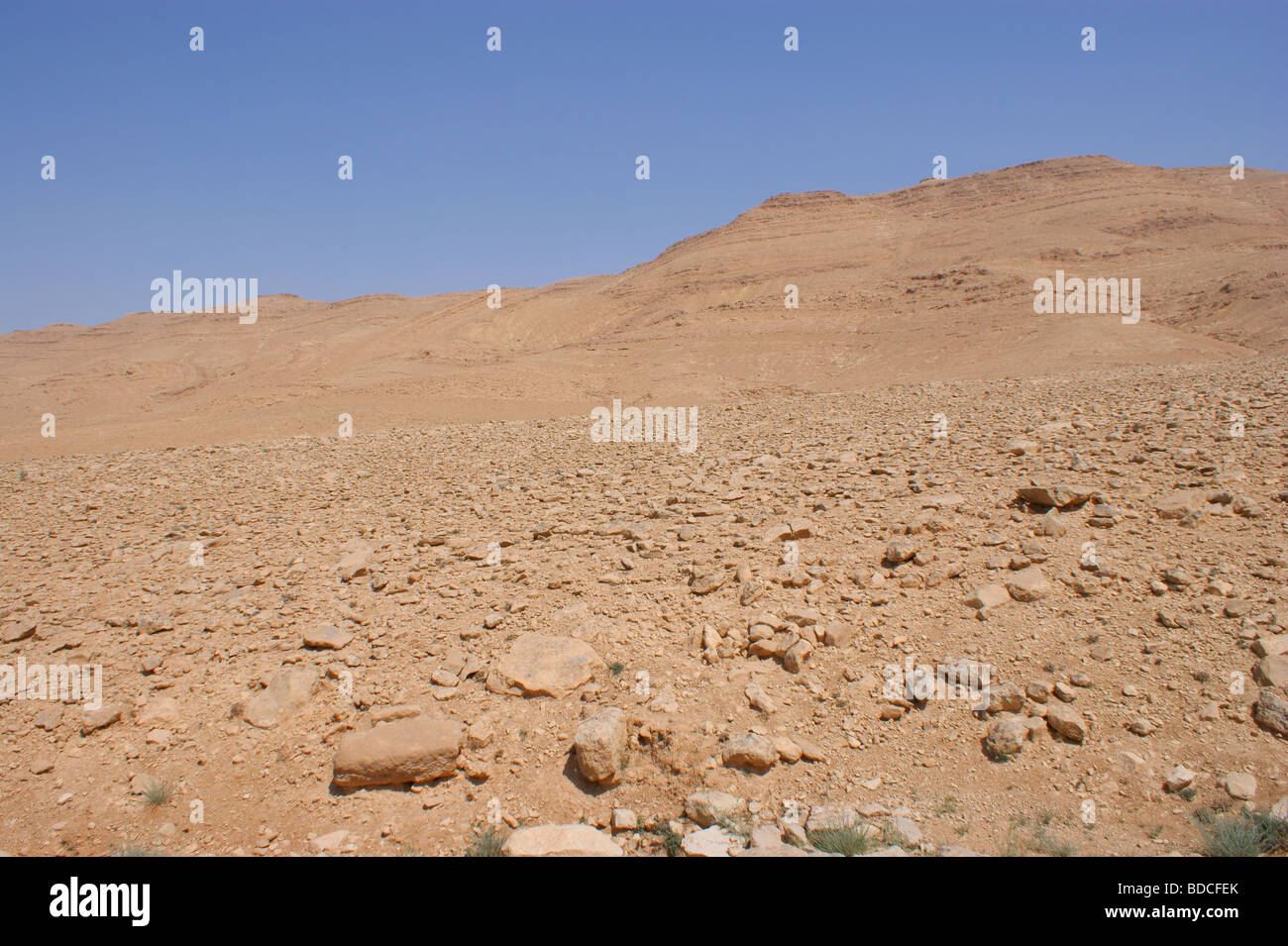 Deserto di pietra in medio oriente Foto Stock