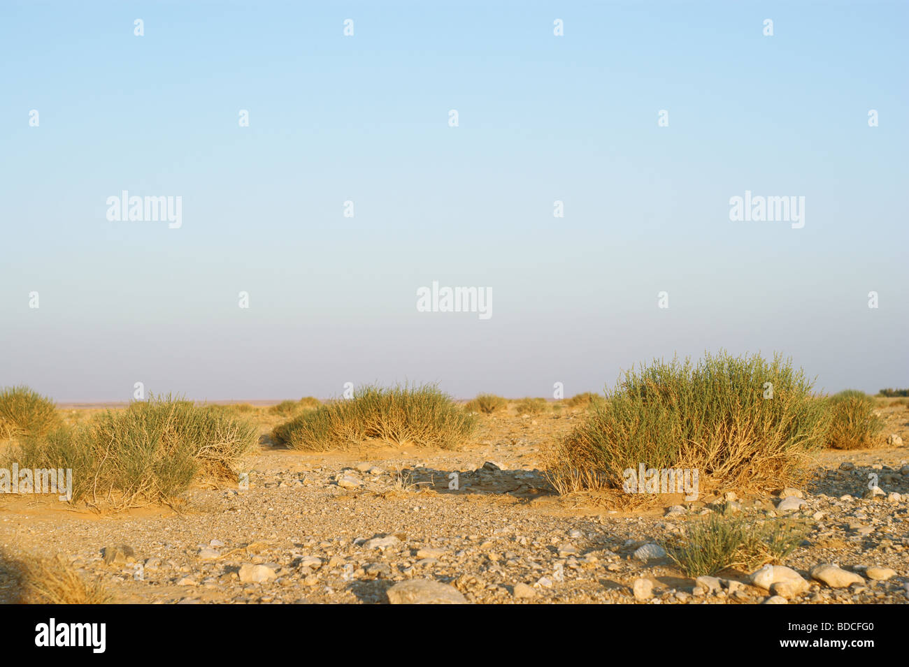 Deserto di pietra e cielo blu in midle east Foto Stock