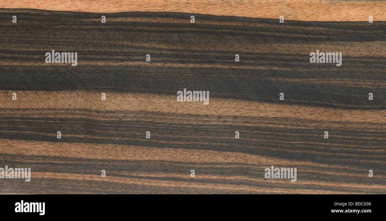 Bracciolo Per Chitarra Acustica - Legno Nero Con Adesivo - Foto 11