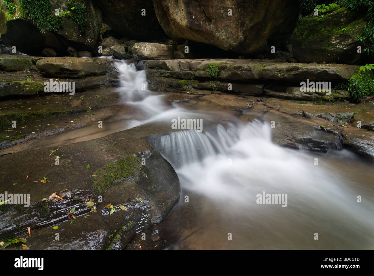 Esecuzione del flusso su roccia in una foresta di monaci cruscotto, il Drakensberg, Kwazulu-Natal, Sud Africa. Lunga esposizione di immagine a colori. Foto Stock