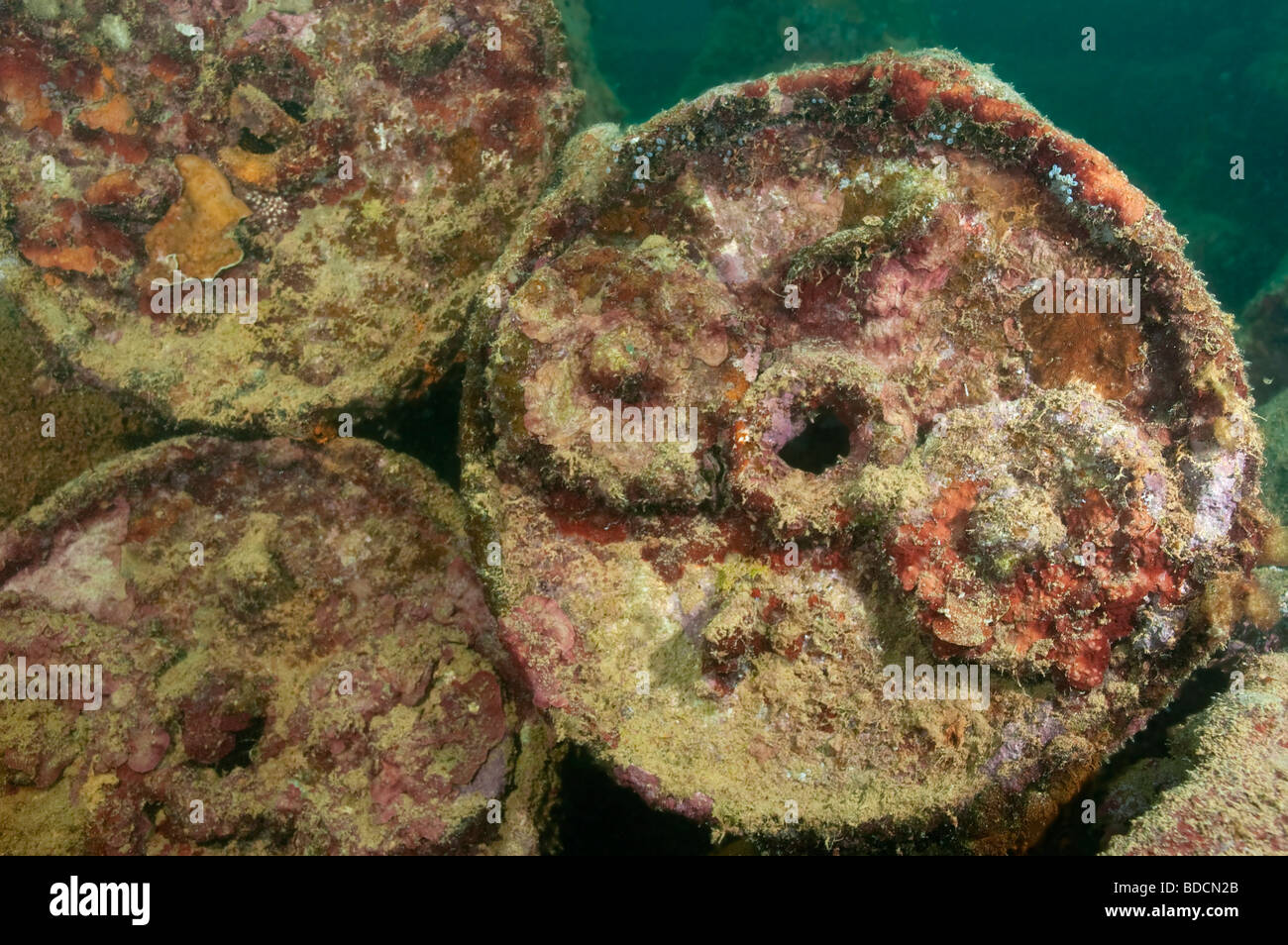 Le cariche di profondità dalla II guerra mondiale sul casco relitto in Palau. Foto Stock