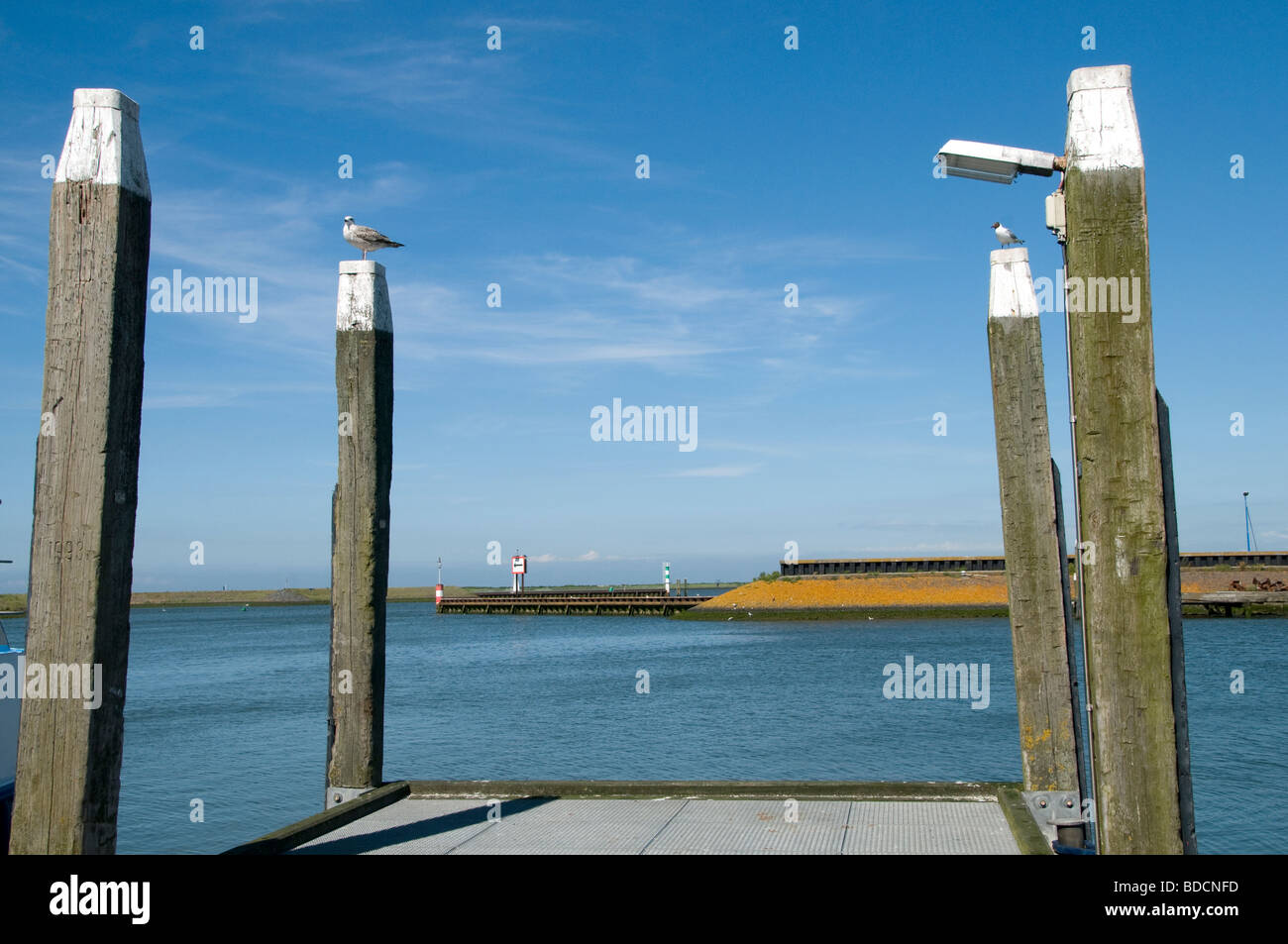 Den Oever Paesi Bassi barca porto di pesca del porto Foto Stock