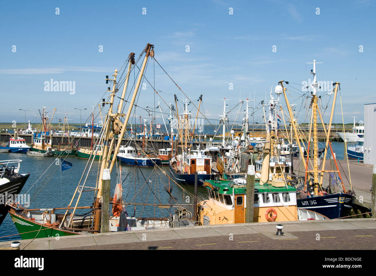 Den Oever Paesi Bassi barca porto porto di pesca del mare Foto Stock