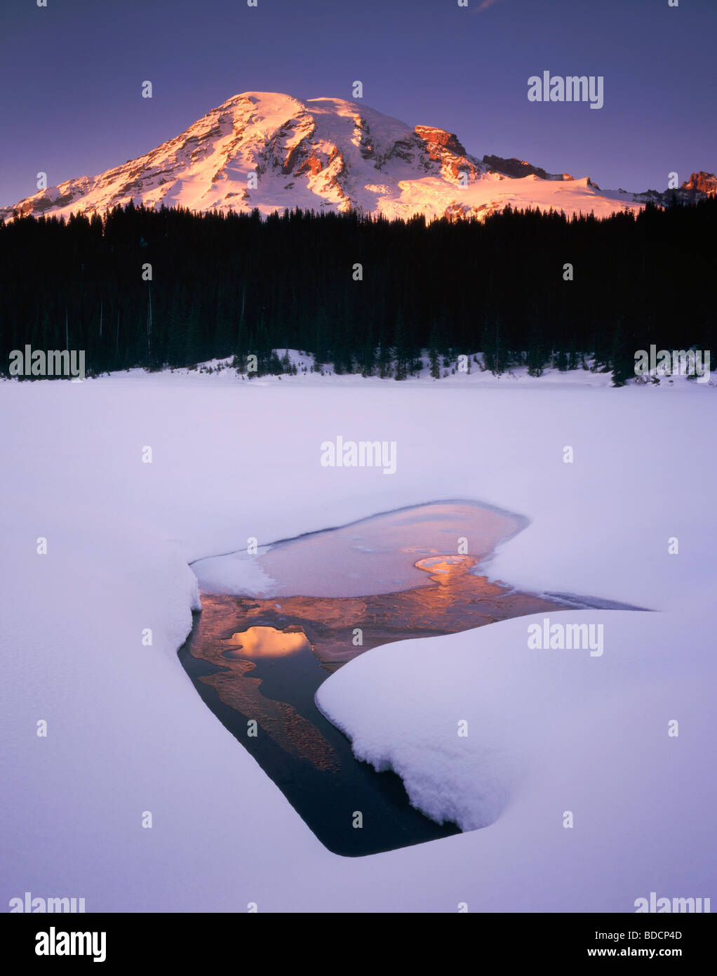 Mount Rainier 14411ft 4392m dalla riflessione congelati Lago Il Parco Nazionale del Monte Rainier Washington STATI UNITI D'AMERICA Foto Stock