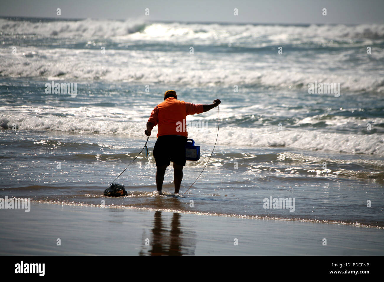 Vite senza fine-catcher Foto Stock