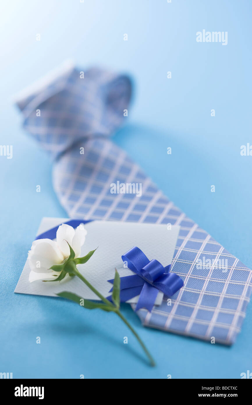 T4s Biglietto Pop-up 3D Per La Festa Del Papà Con Fiore E Gatto - Cartolina Artigianale Da Collezione, Sorpresa Unica