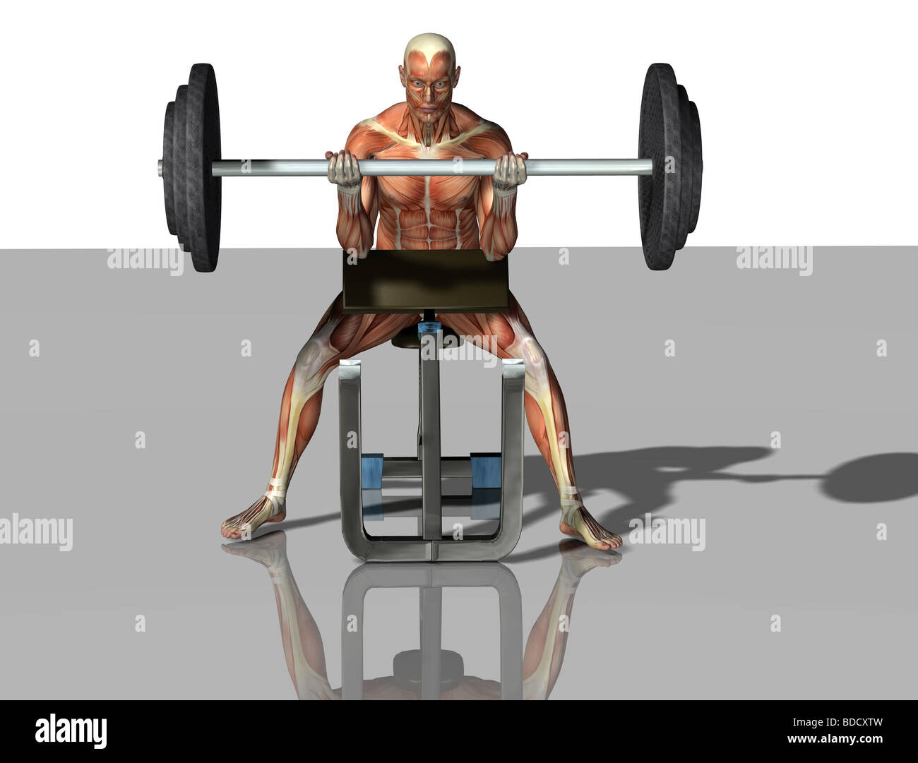 Muscolo uomo come weightlifter Foto Stock
