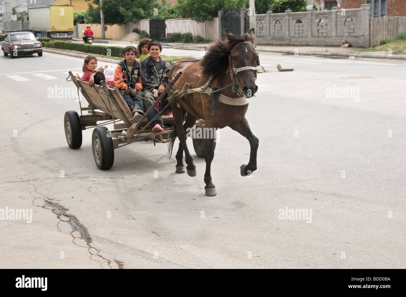 Roma in carrozza trainata da cavalli, Romania Foto Stock