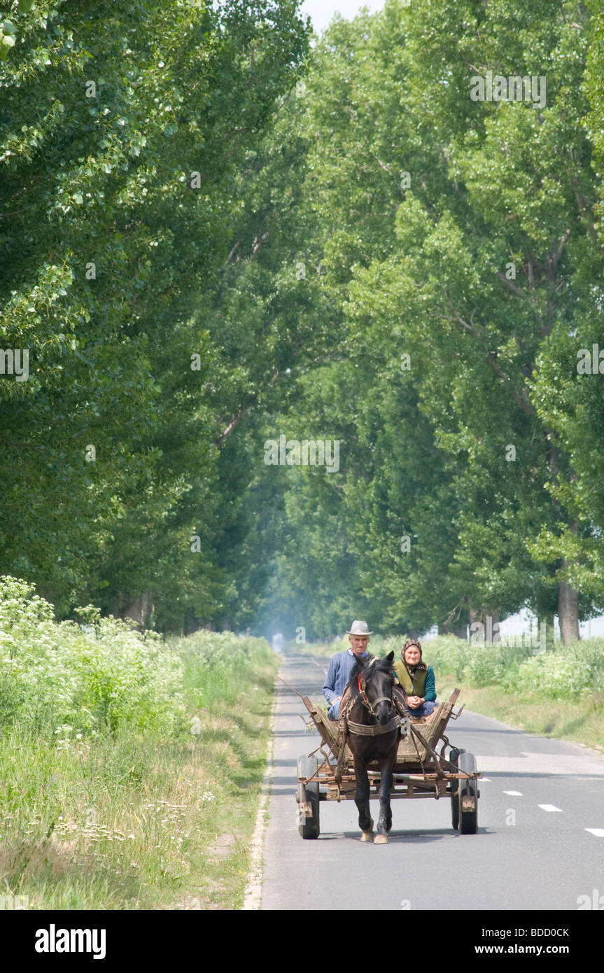 Uomo e donna su carro trainato da cavalli, Romania Foto Stock