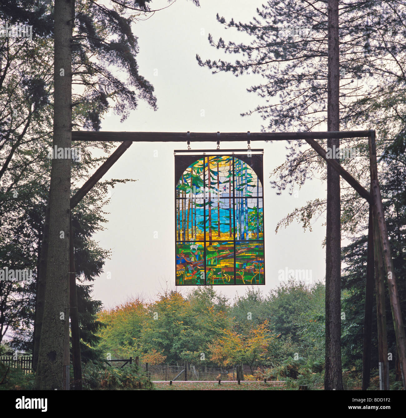 Una vista di 'Cattedrale' in una radura della Foresta di Dean un bellissimo e ispirando macchiato il pannello di vetro Foto Stock