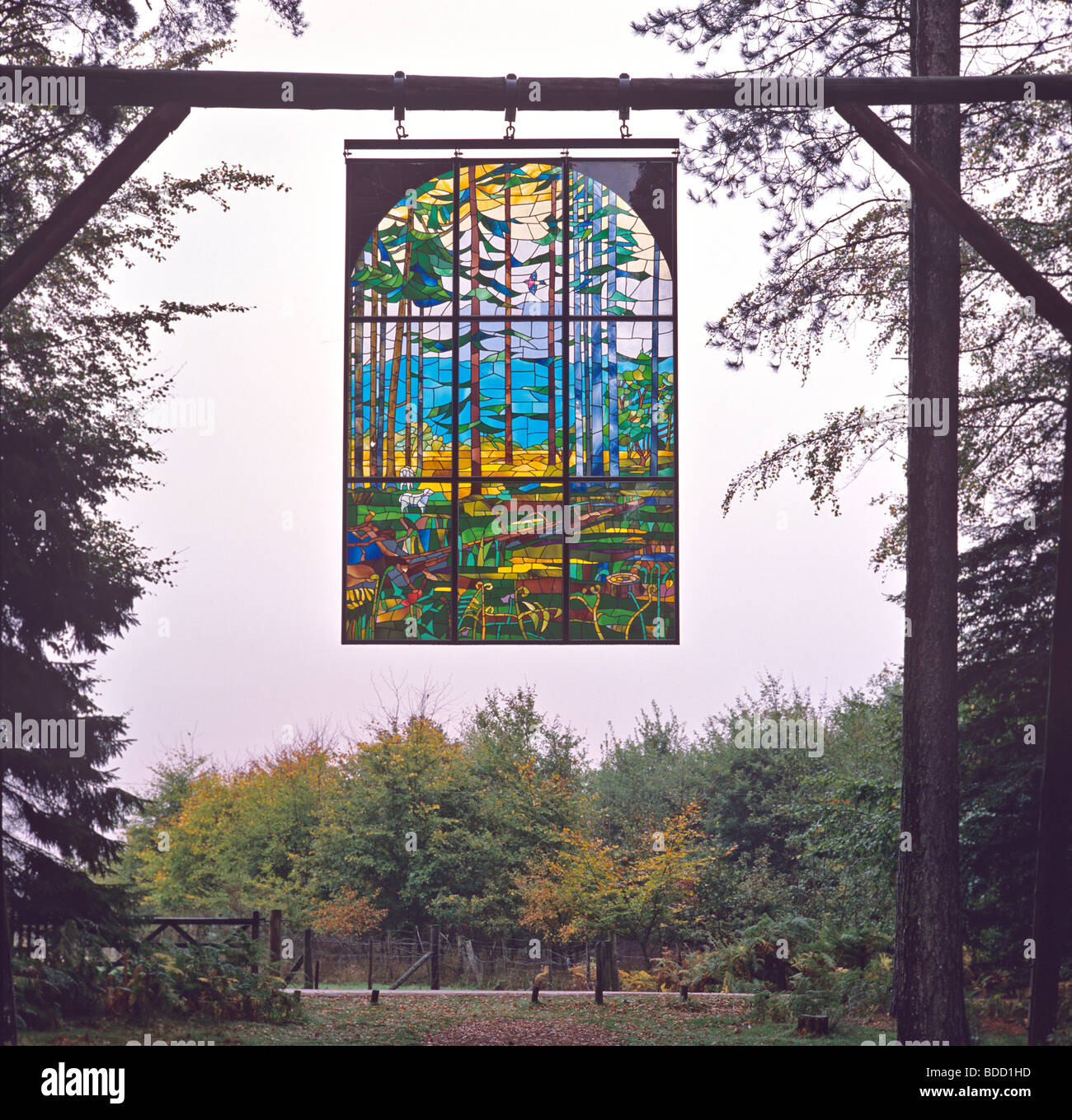 Una vista di 'Cattedrale' in una radura della Foresta di Dean un bellissimo e ispirando macchiato il pannello di vetro Foto Stock