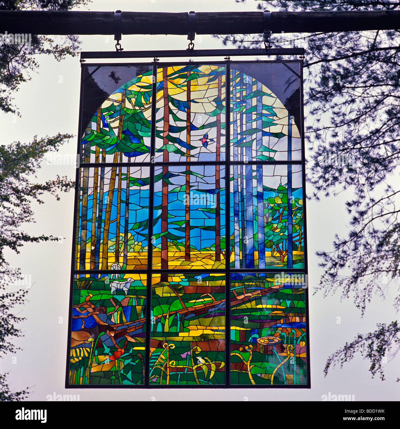 Una vista di 'Cattedrale' in una radura della Foresta di Dean un bellissimo e ispirando macchiato il pannello di vetro Foto Stock