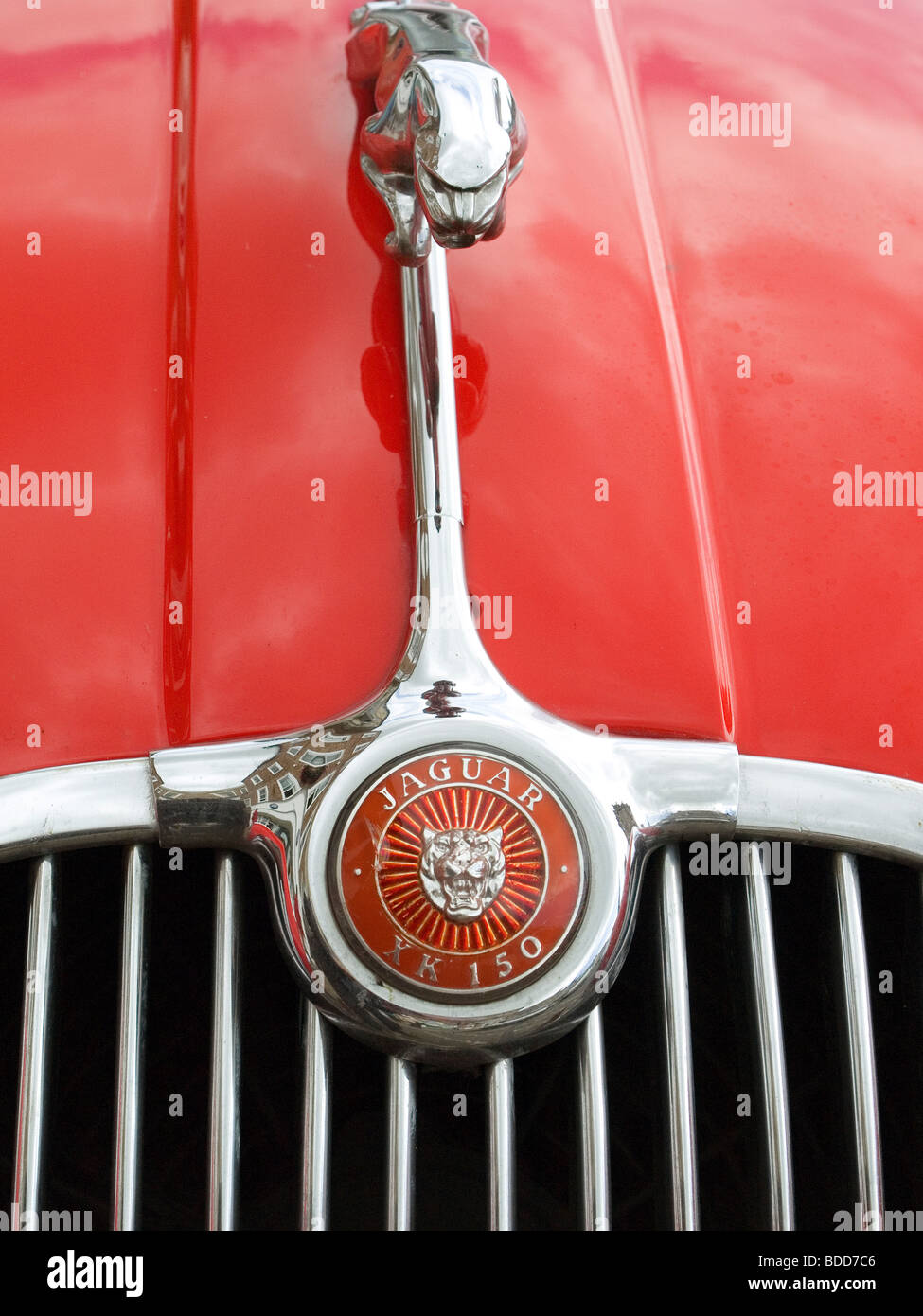 Chiusura del cofano badge su un rosso Jaguar XK150 auto sportiva Foto Stock