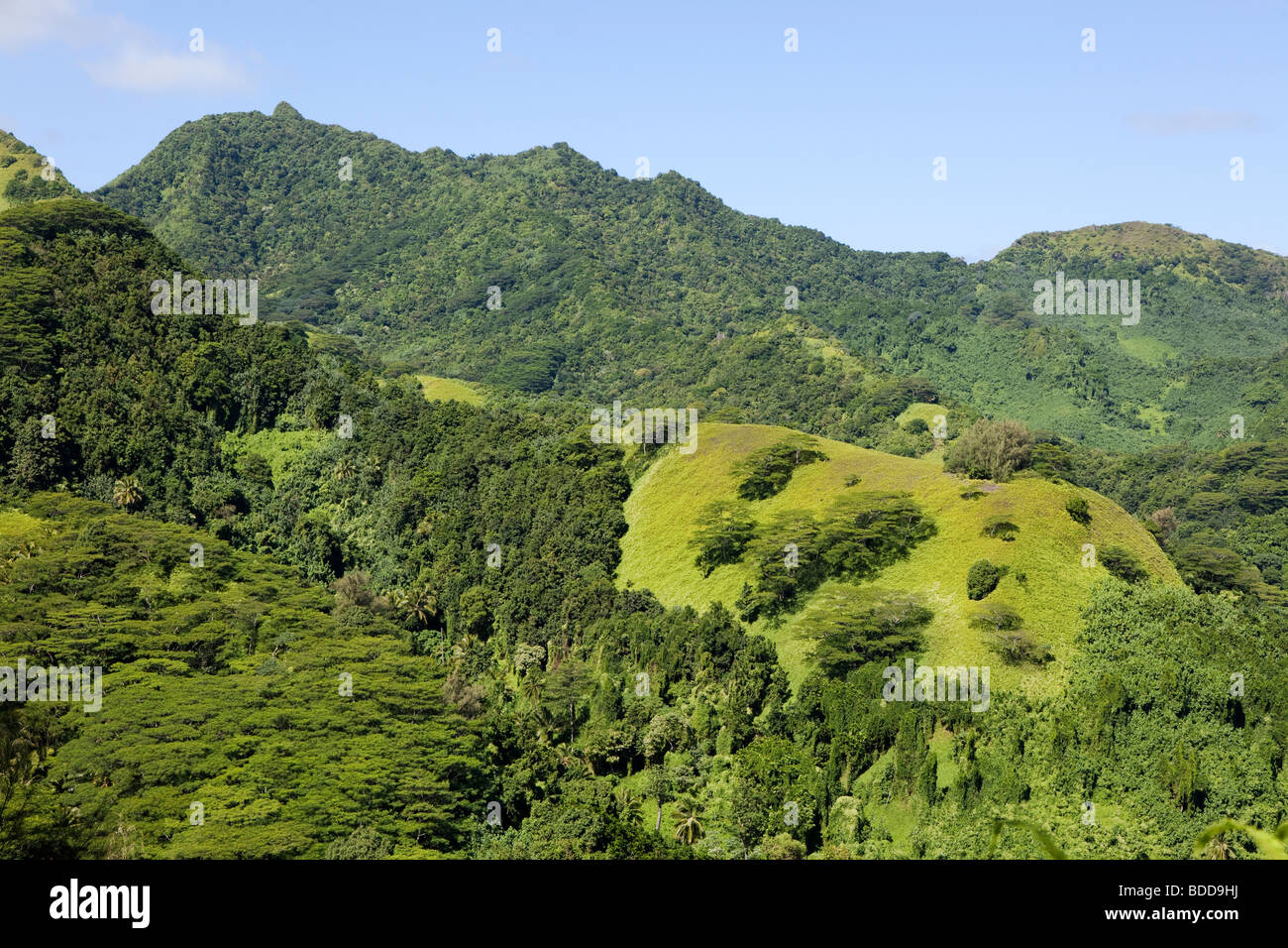 Guardando verso il basso sulla scena di Rarotonga nelle Isole Cook nel Pacifico del Sud Foto Stock