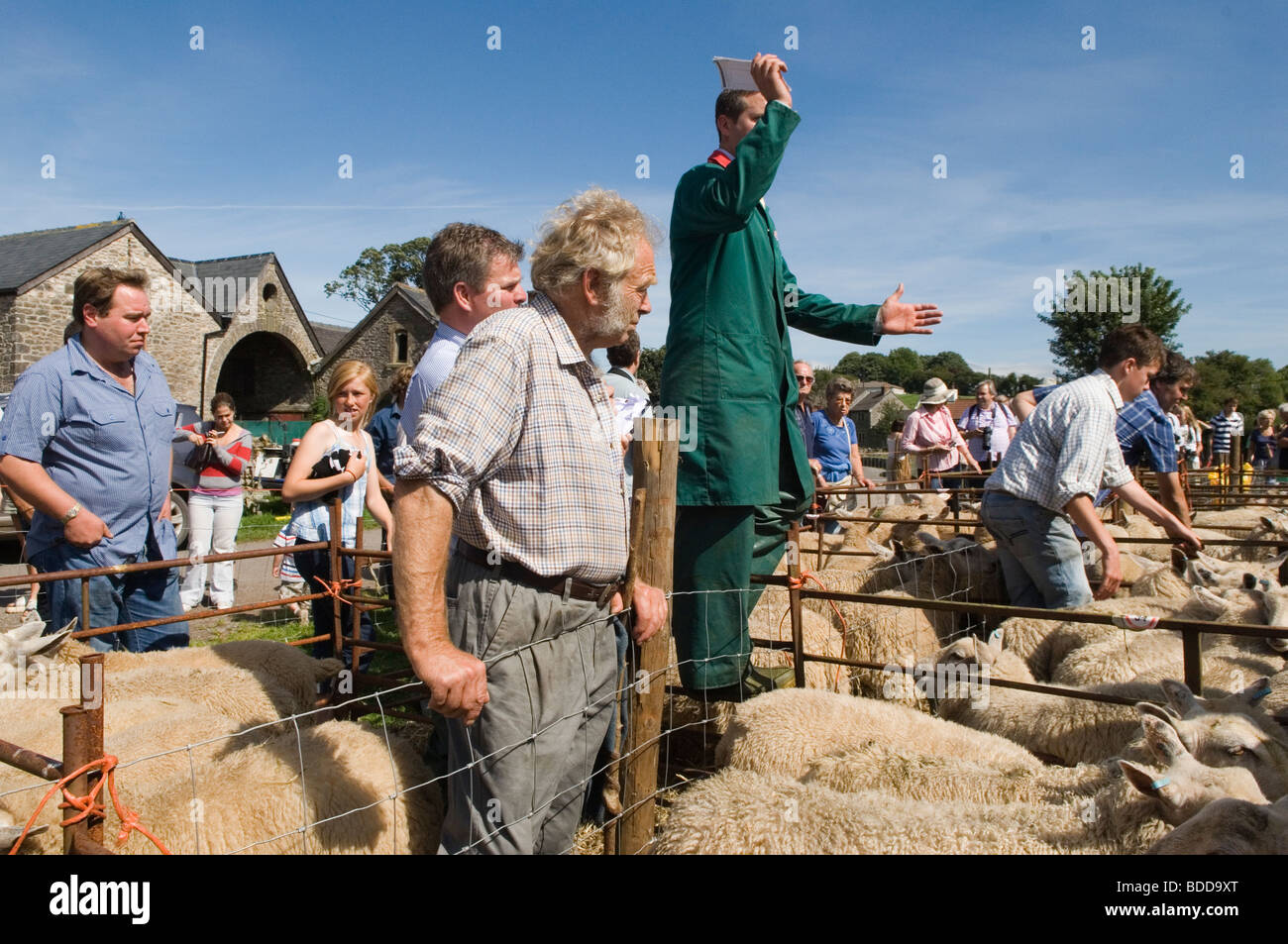 Priddy Sheep Fair Somerset The Mendip Hills UK . Auctioneer che fa una vendita alla fiera annuale tradizionale delle pecore. HOMER SYKES 2000 Foto Stock