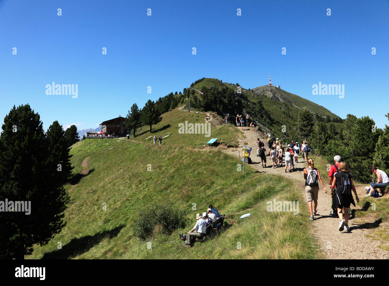 Gli escursionisti sul sentiero Zirbenweg su Mt. Patscherkofel, chalet Boscheben, Alpi di Tux, Tirolo, Austria, Europa Foto Stock