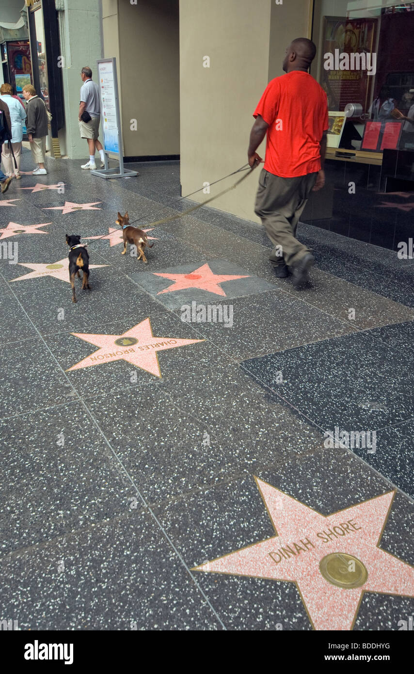 I turisti alla Walk of Fame a Hollywood Boulevard, Hollywood, California, Stati Uniti d'America Foto Stock
