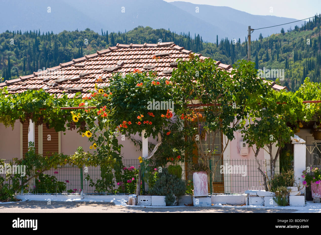 Pittoresca casa nel villaggio rurale di Agios Nikolaos sull'isola greca di Cefalonia Grecia GR Foto Stock