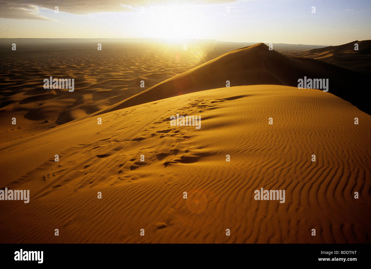 Sunrise oltre le alte dune dell'Erg Chebbi mare di sabbia nel Sahara Marocchino. Foto Stock