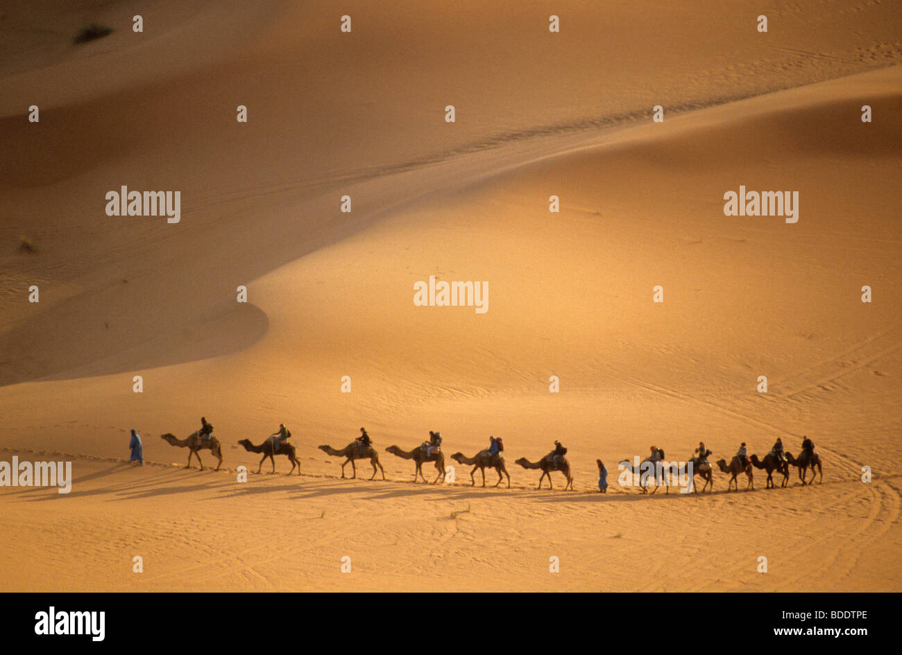 I turisti in Erg Chebbi mare di sabbia, al di sopra di Merzouga, nel Sahara del Marocco meridionale. Foto Stock