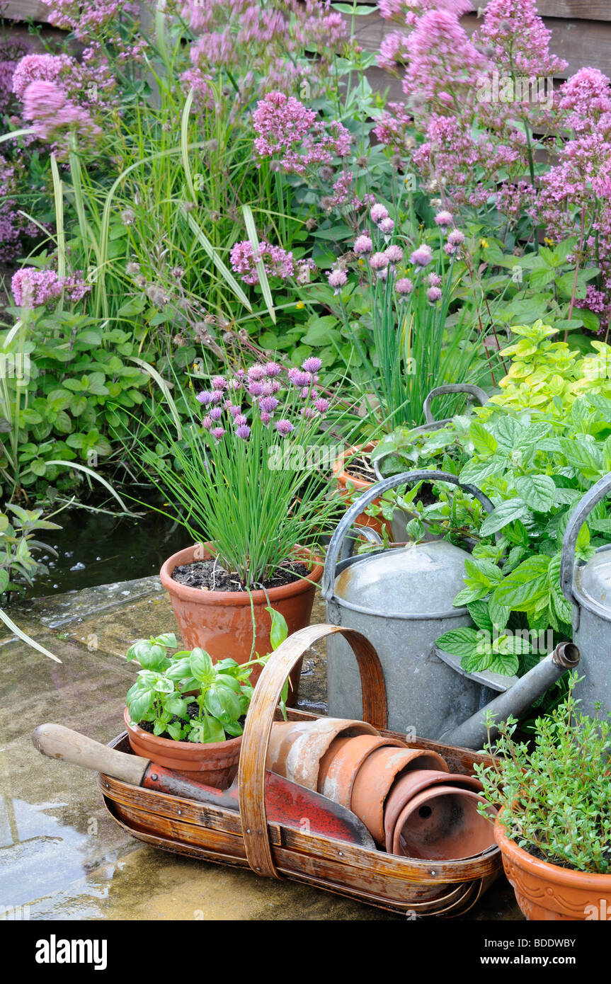 Patio con giardino con erbe aromatiche in vasi, Foto Stock