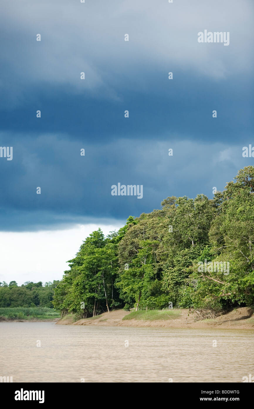 Fiume Kinabatang area è uno dei posti migliori al posto della fauna selvatica di Sabah, Borneo Malese. Foto Stock