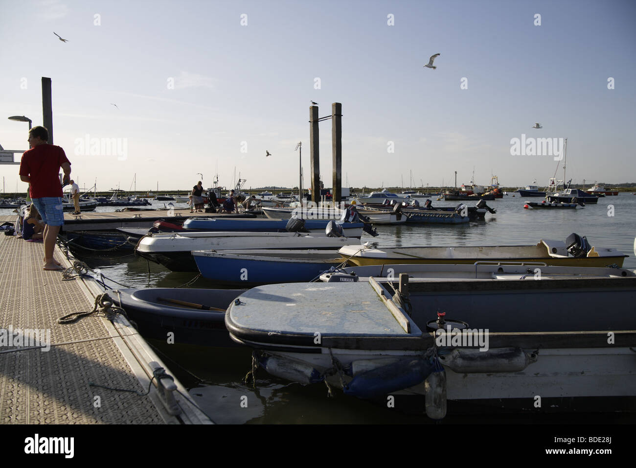 Mersea island West Mersea vista costiera moli vela, sport acquatici Foto Stock