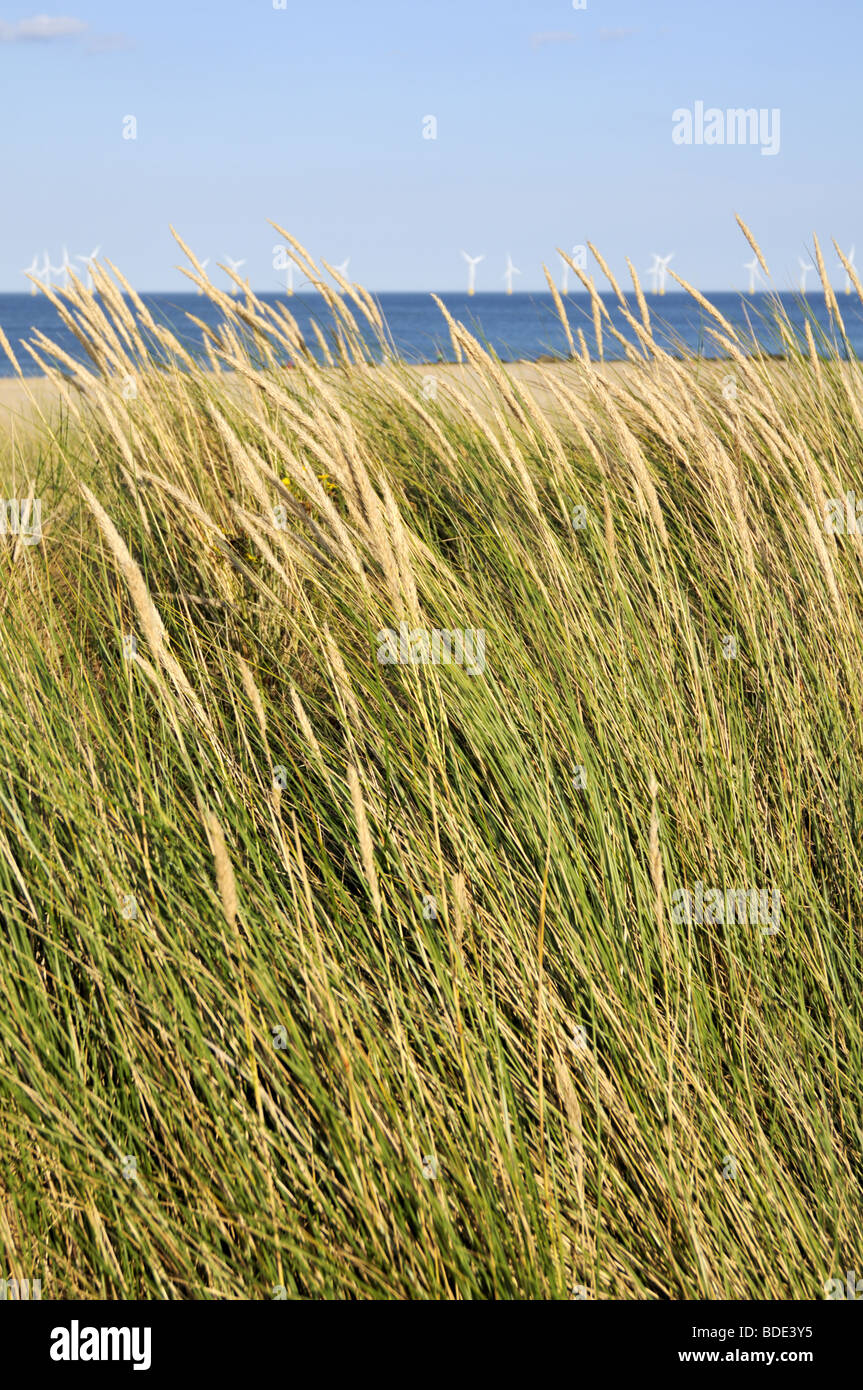 Norfolk spiaggia a Caister-su-mare dal Mare del Nord, Regno Unito. Foto Stock