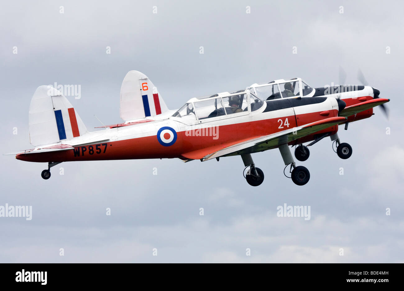 Caledonian Chipmunks aerobatic team display battenti de Havilland Scoiattolo striado T10 Foto Stock