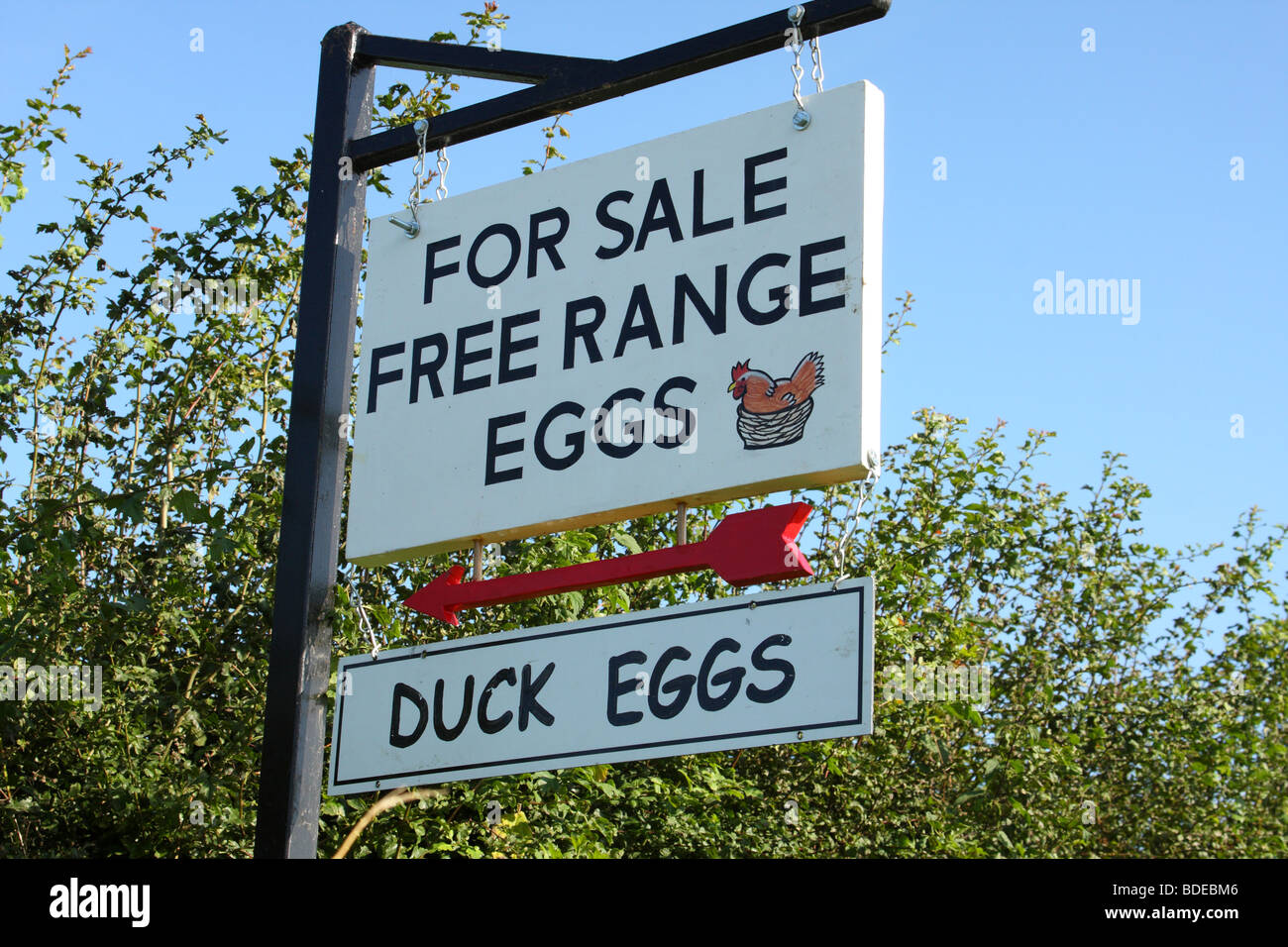 Free range uova per la vendita su un agriturismo in inglese. Foto Stock