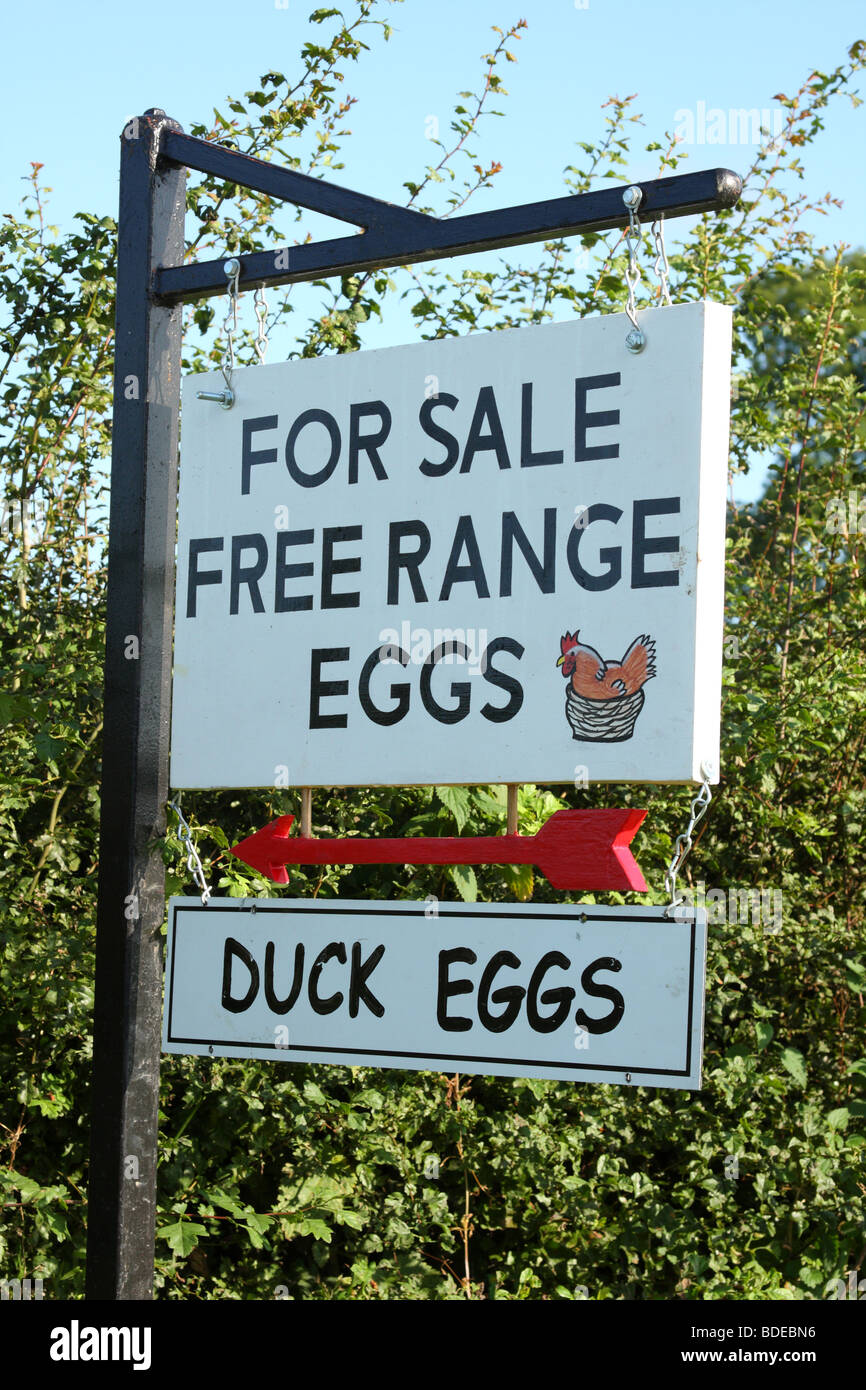 Free range uova per la vendita su un agriturismo in inglese. Foto Stock