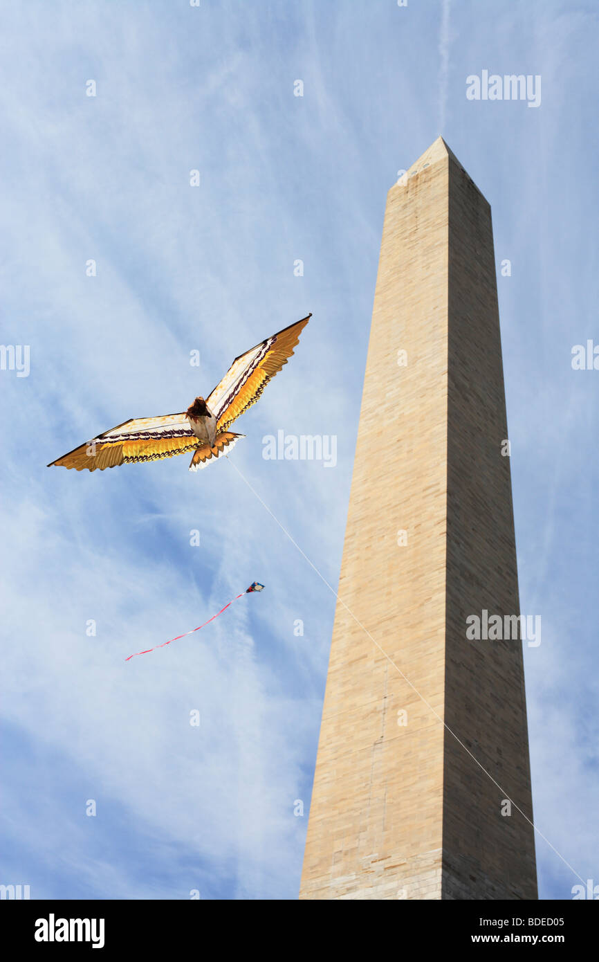 Una forma di uccello aquilone vola sul National Mall di Washington durante il Smithsonian annuale Kite Festival, 2008. Foto Stock