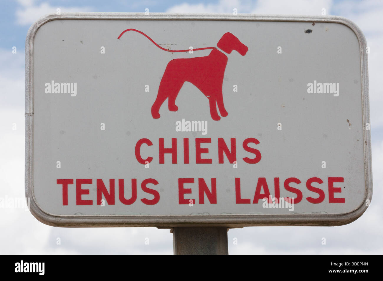 Cani al guinzaglio ammessi informazioni pubbliche segno Foto Stock