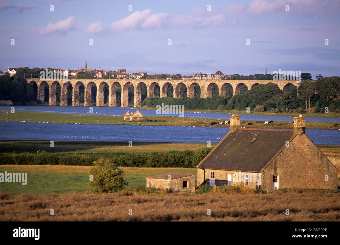 Royal ponte di frontiera - viadotto ferroviario che attraversa il fiume Tweed a Berwick-upon-Tweed, la più settentrionale città in Inghilterra Foto Stock