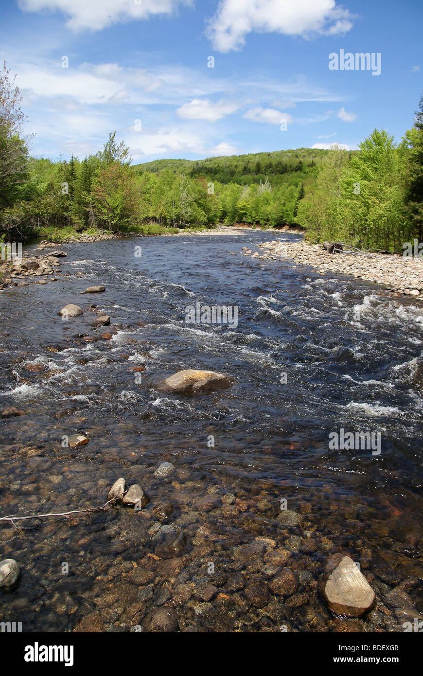 La natura incontaminata intorno a un fiume circondato da boschi Foto Stock