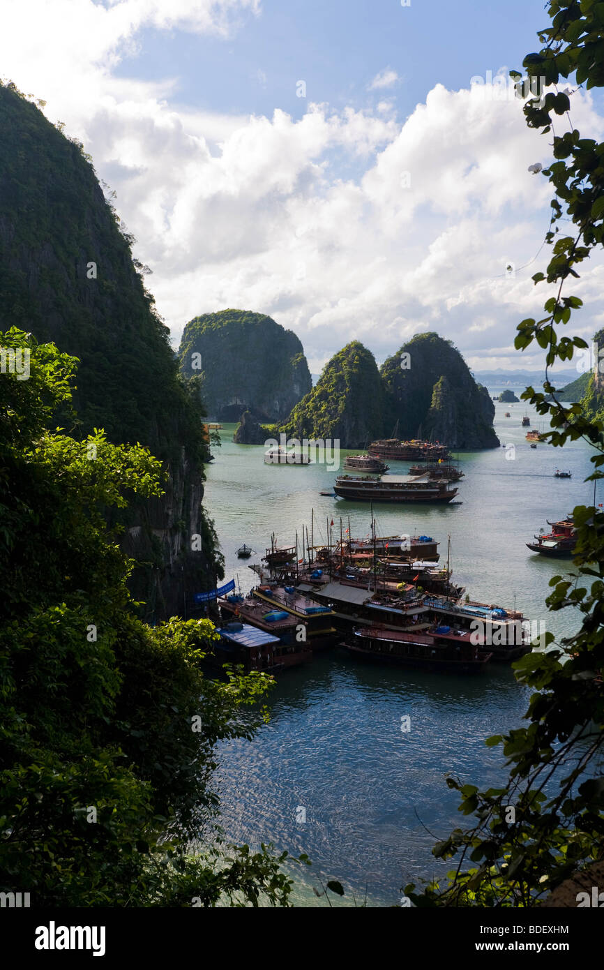 Vista dall'alto la bocca della Hai Phong grotta sopra le isole della baia di Ha Long, Vietnam Foto Stock