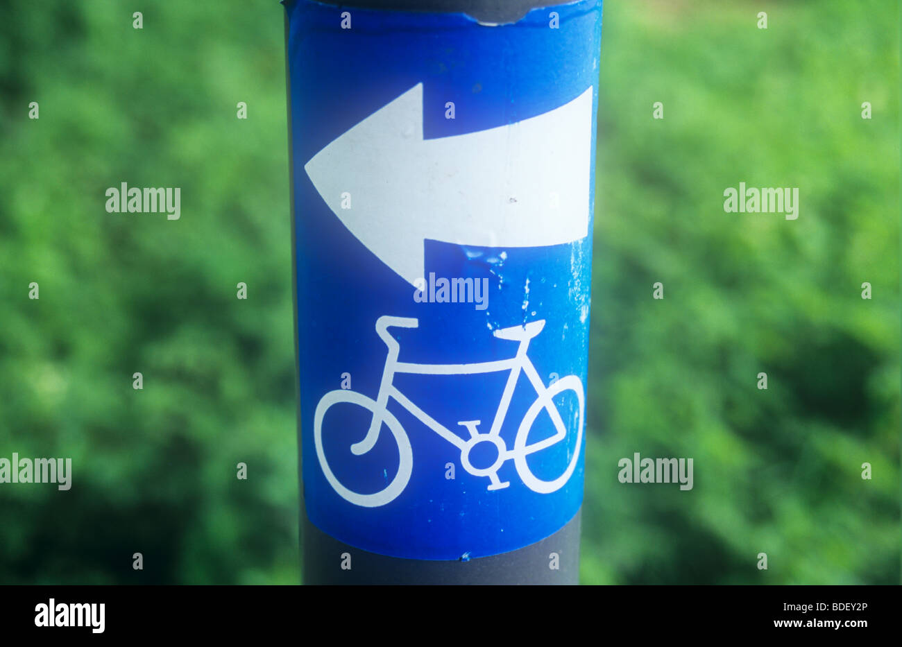 Close up stick-on del bianco e del blu sign in pole con fogliame dietro con icona di bicicletta e la freccia che indica il percorso Foto Stock
