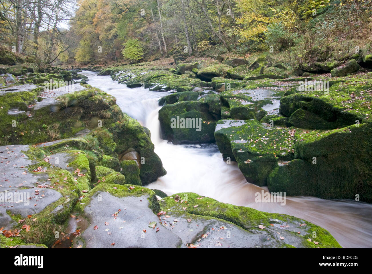 Fiume Wharfe Bolton Abbey Yorkshire Inghilterra Foto Stock