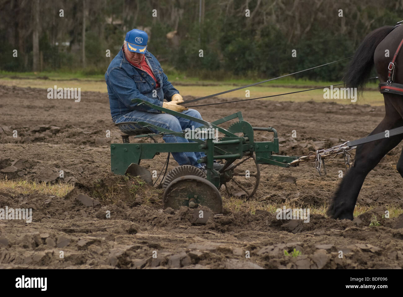 Aratro annuale Days Festival a Dudley Farm Historic State Park, Newberry, Florida--Registro Nazionale dei Luoghi Storici. Foto Stock