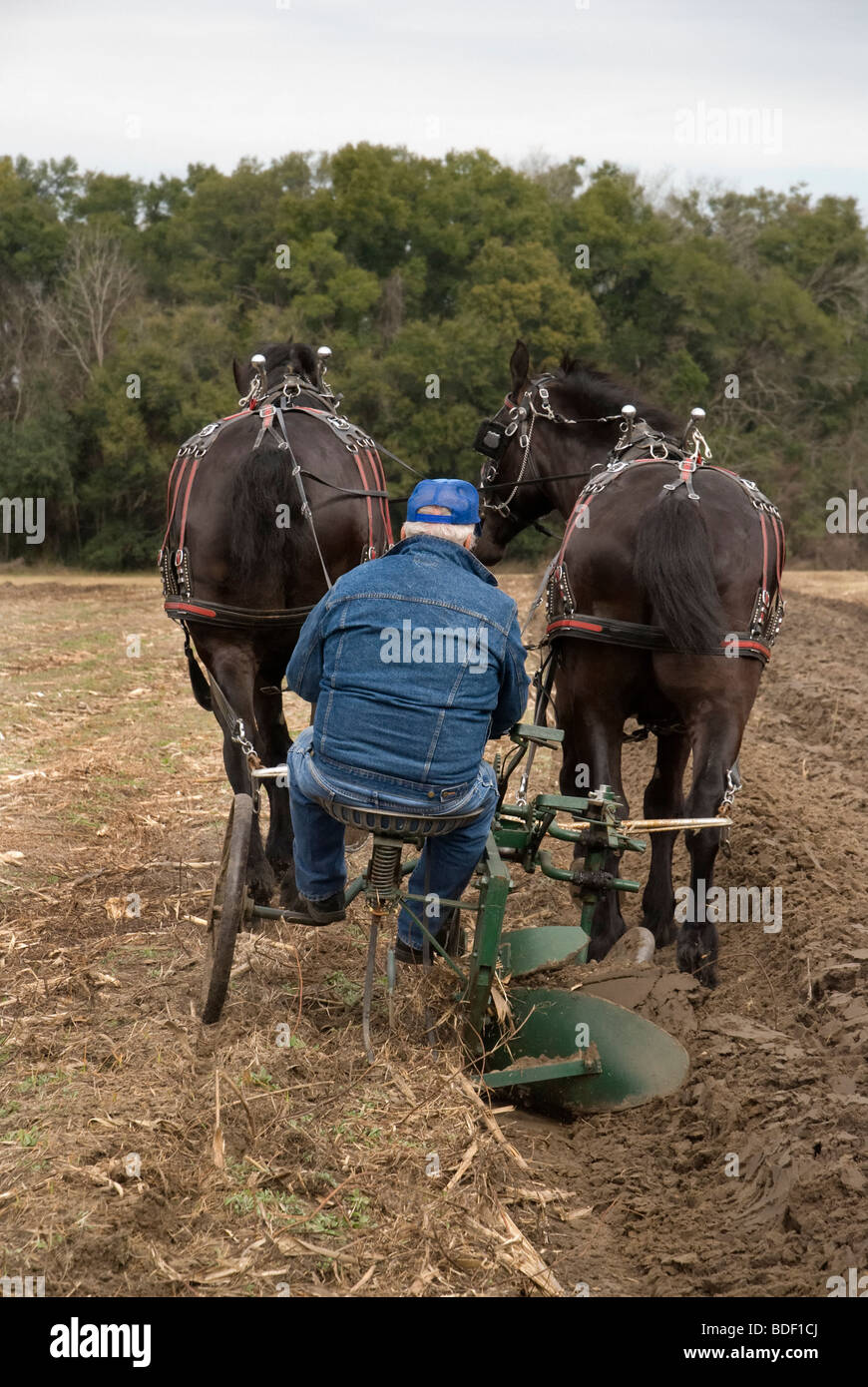 Aratro annuale Days Festival a Dudley Farm Historic State Park, Newberry, Florida--Registro Nazionale dei Luoghi Storici. Foto Stock