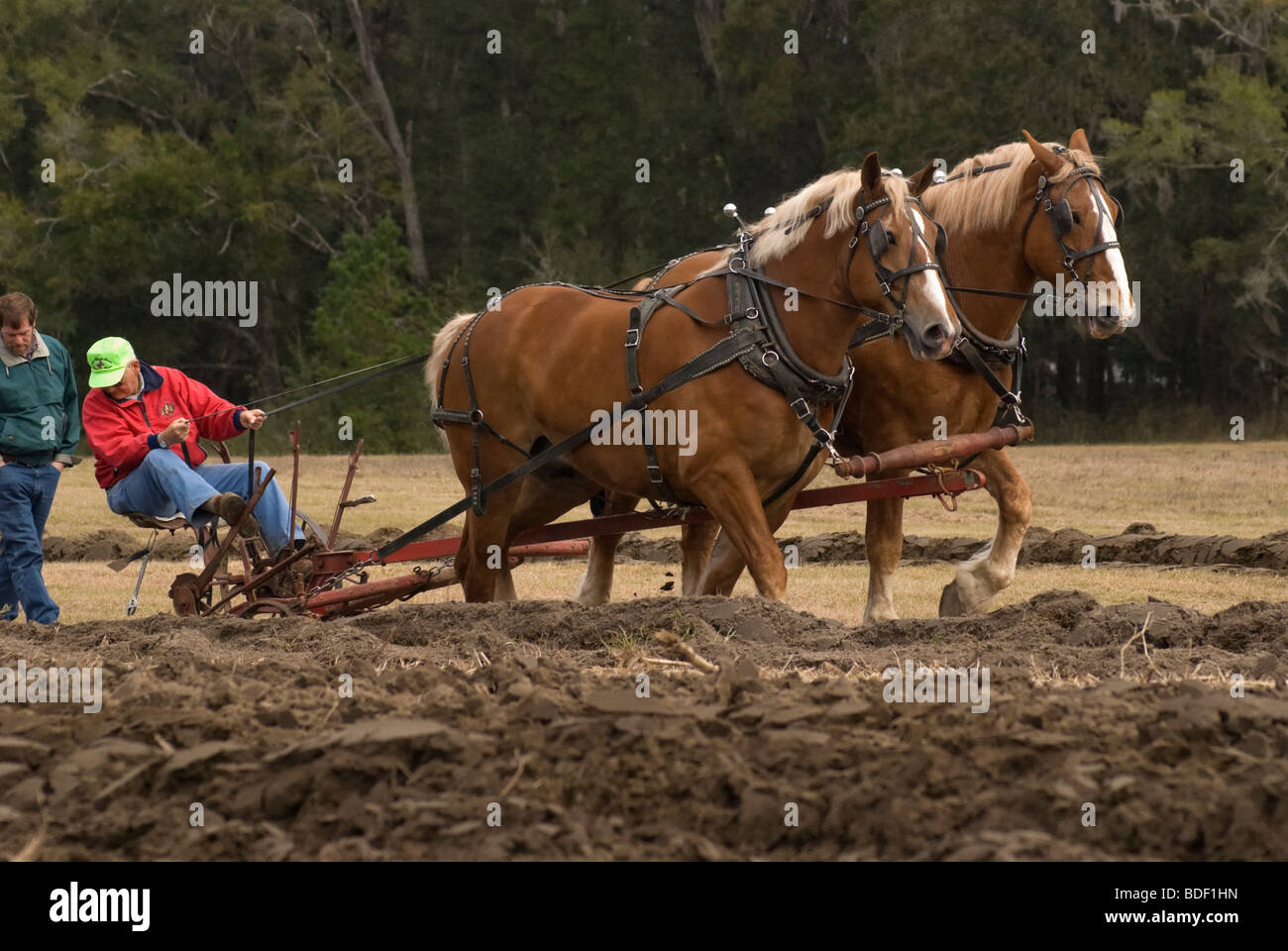 Aratro annuale Days Festival a Dudley Farm Historic State Park, Newberry, Florida--Registro Nazionale dei Luoghi Storici. Foto Stock